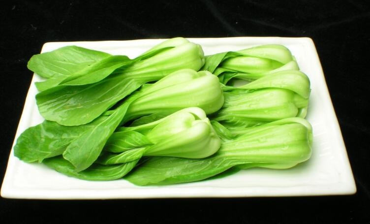 上海青是什麼菜？詳細介紹其特點與別名