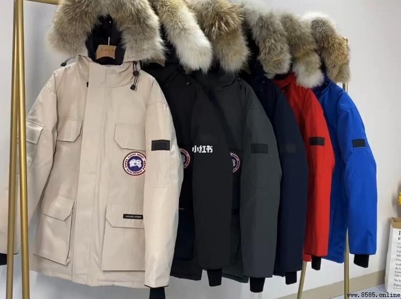 大鵝羽絨服是鵝絨還是鴨絨?解析兩者的差異與選購重點
