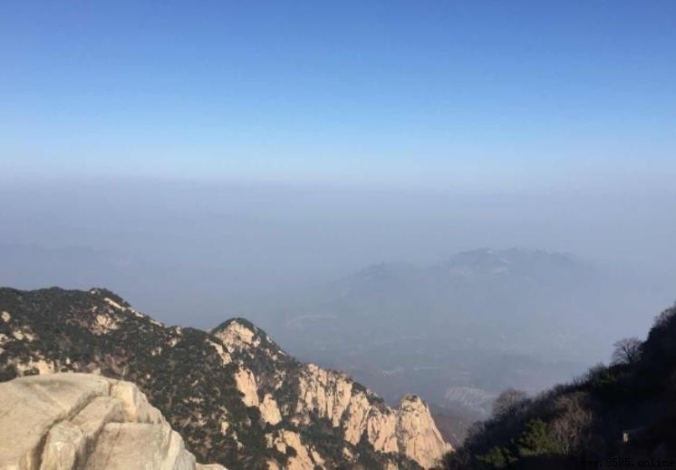 老泰山是什麼意思