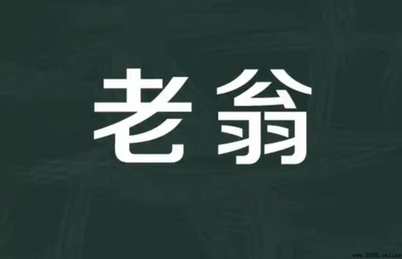 老翁的意思