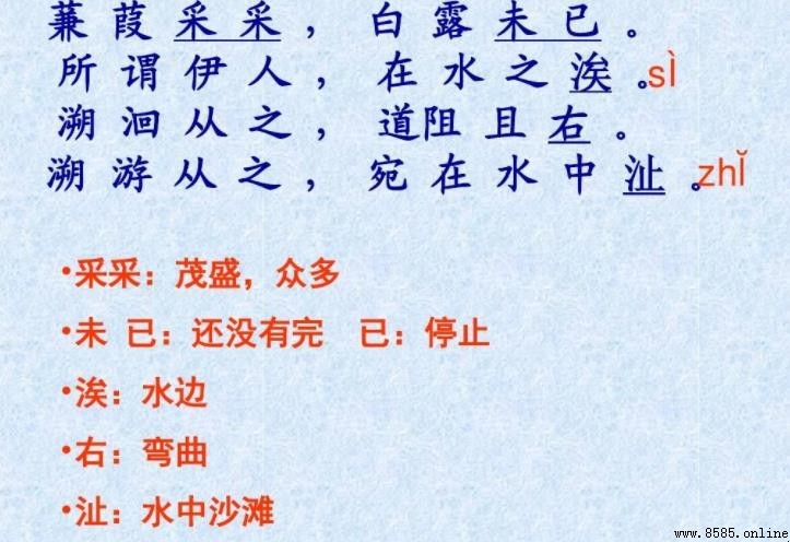 蒹葭采采下一句是什麼