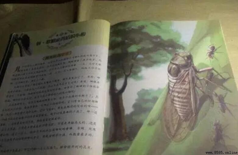 《昆蟲記》被譽為什麼