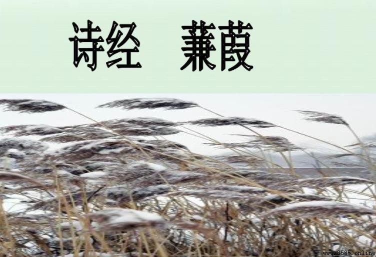 《蒹葭》的主旨是什麼