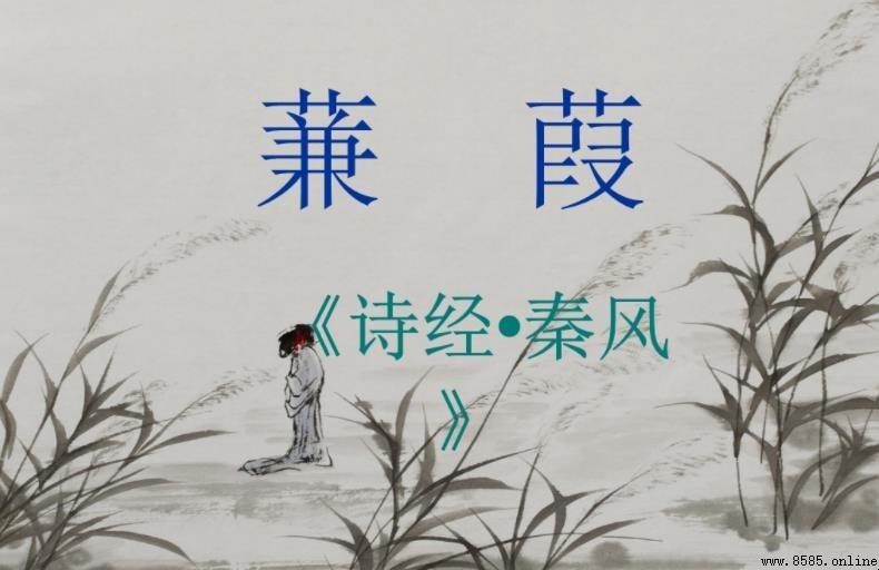 《蒹葭》的翻譯與原文