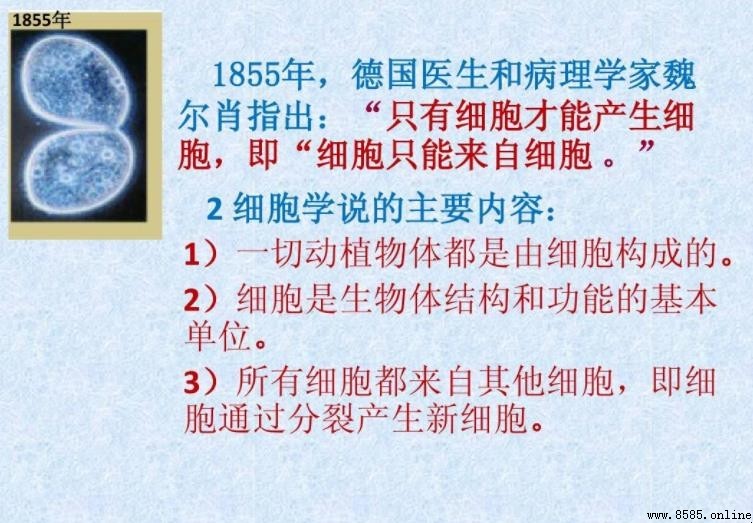 細胞學說的核心內容與七項要點