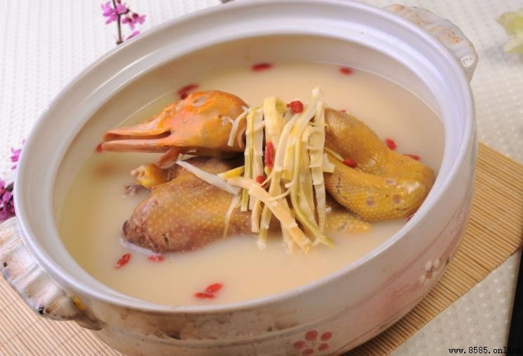 老鸭煲什么汤最佳