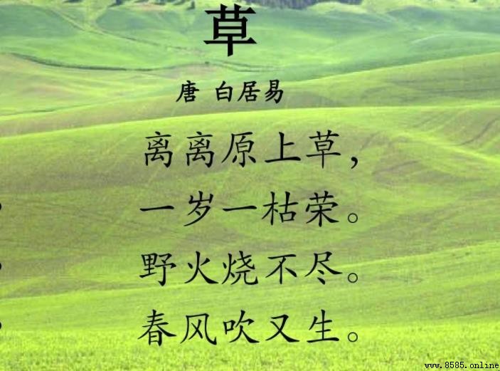 含草的詩句有哪些:古典詩詠草之精華