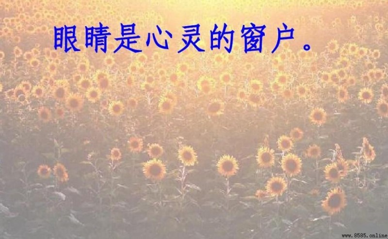 眼睛是心靈的窗口:這句話的含義與科學解釋