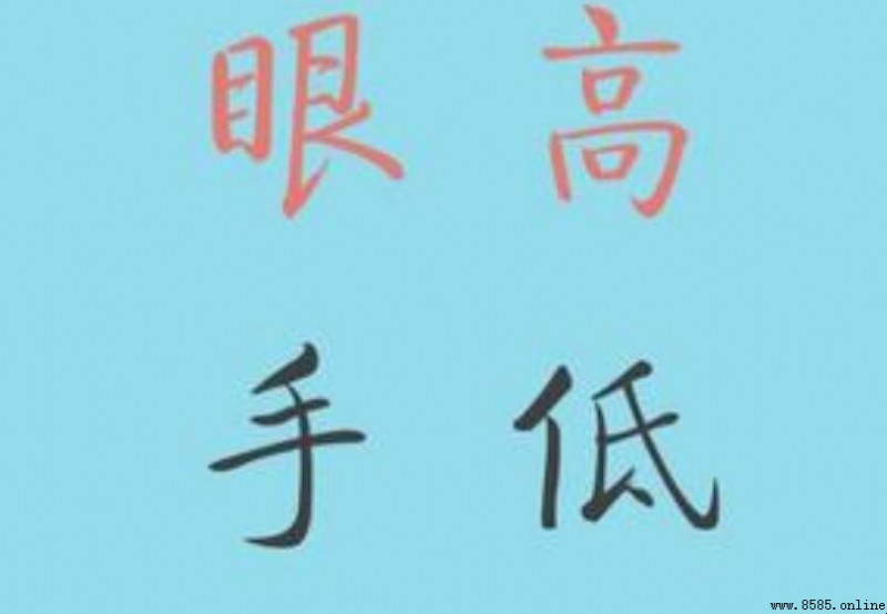 眼高手低造句範例與使用情境說明