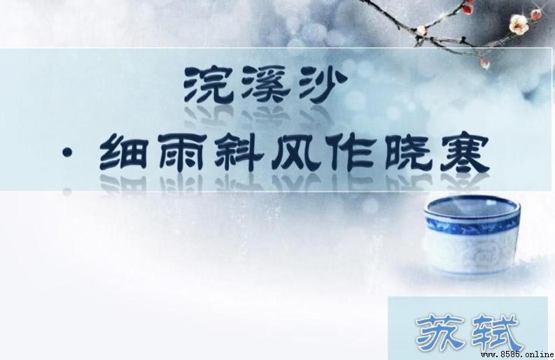 《浣溪沙·細雨斜風作曉寒》原文與譯文