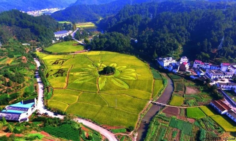 鄉村振興標語集：萬丈湖特色口號一览