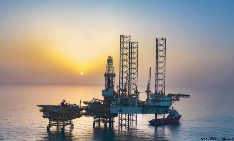 中海油的油質量是否可靠？全面解析其品質與標準