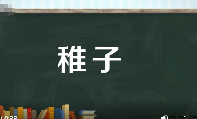 稚子意思解析