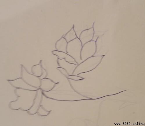 栀子花簡筆畫教程:分步圖教您輕鬆畫