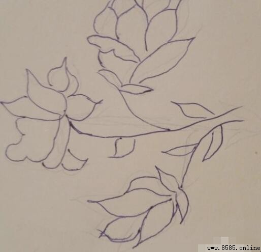 栀子花簡筆畫教程:分步圖教您輕鬆畫