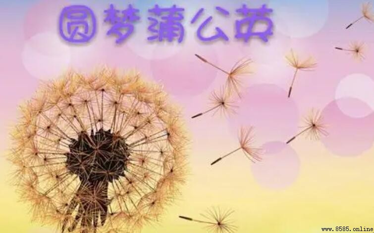中國蒲公英圓夢行動口號與標誌解析