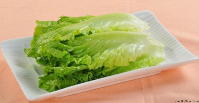 生菜簡筆畫教學:分步圖示與技巧指南