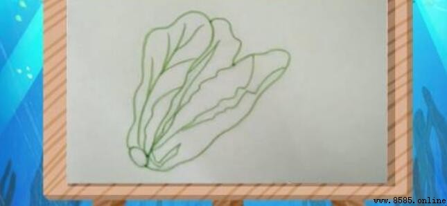 生菜簡筆畫教學:分步圖示與技巧指南