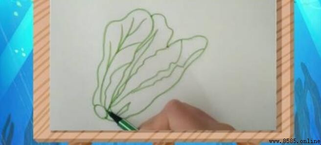 生菜簡筆畫教學:分步圖示與技巧指南