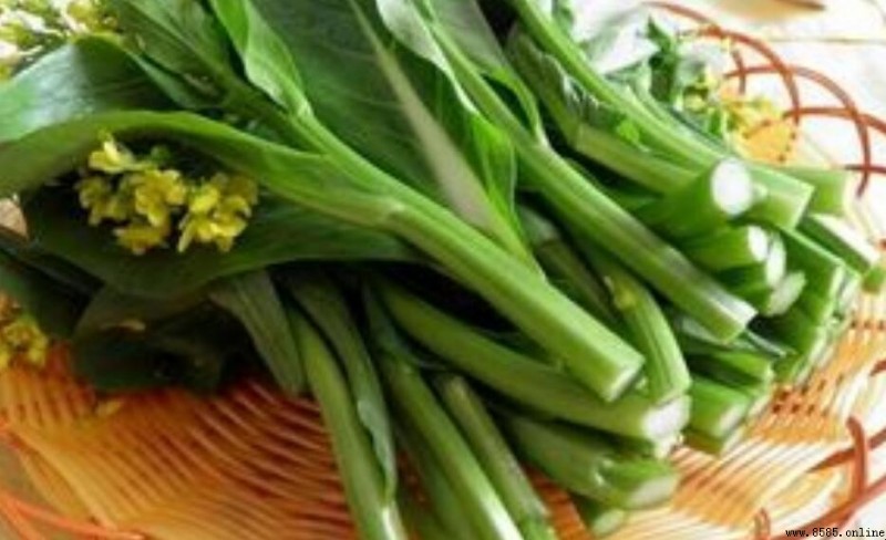 菜心是什麼季節的?解析菜心的栽培季節與品種特色