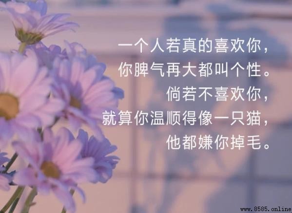 生活现实又很扎心的句子