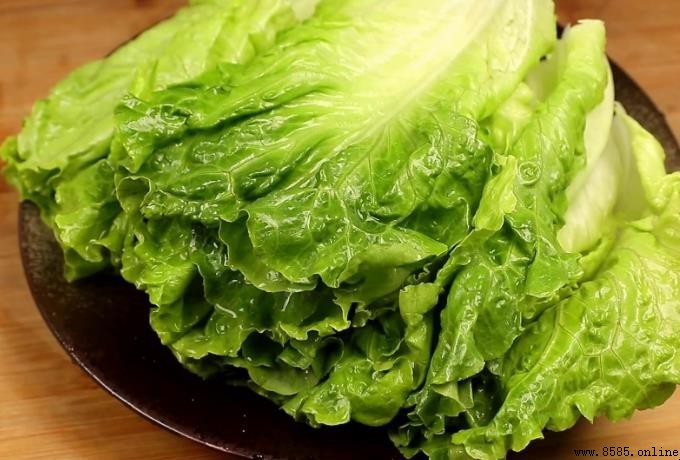 生菜形態特征解析