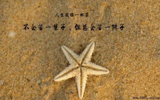 簡短勵志唯美句子集