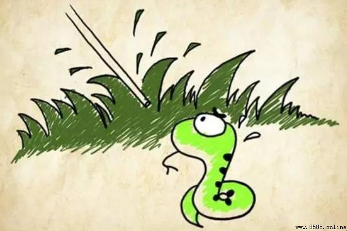 打草惊蛇成语故事解析