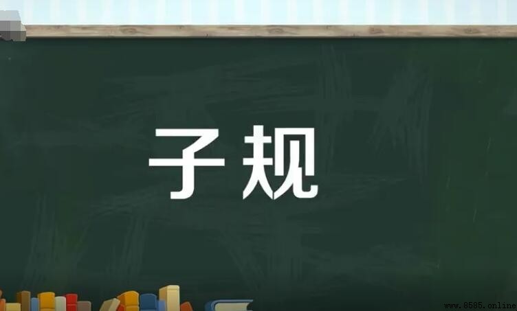 子規的含義與文化意象解析