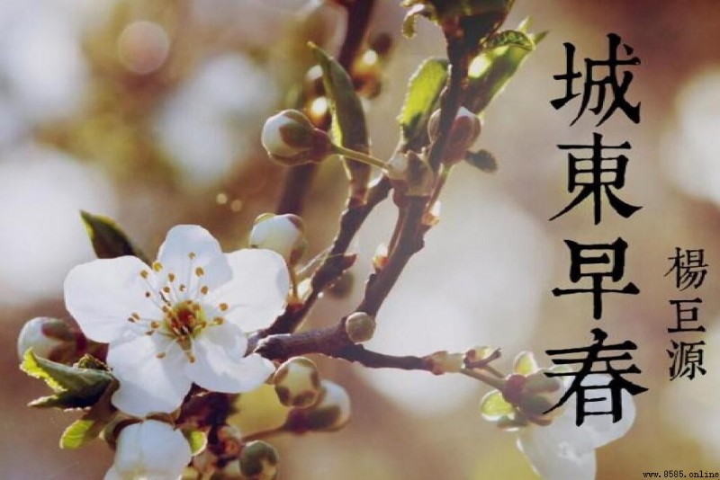 《城东早春》古诗译文与赏析