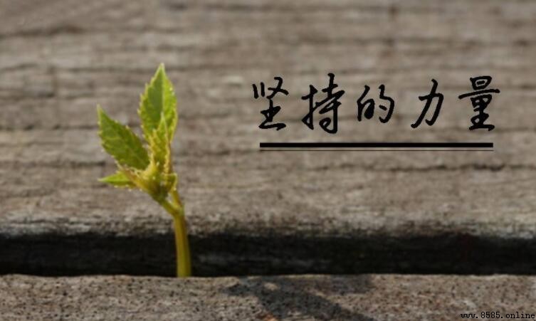 工作堅持的名言集：激勵你前行的15句智慧