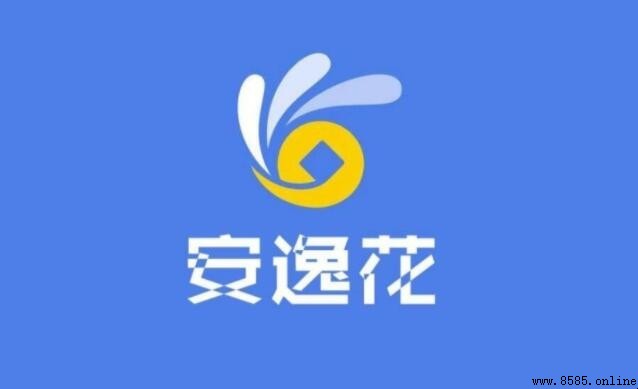 安逸花还款未入账是什么意思