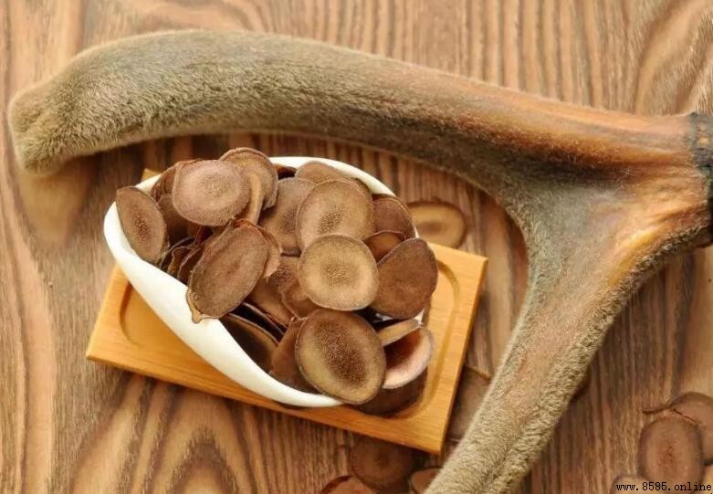 鹿茸可以泡水喝嗎?解析其功效與適用對象