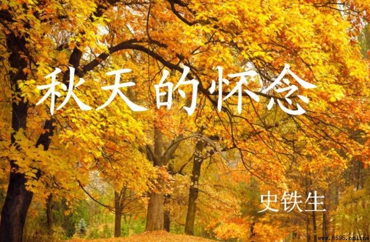 《秋天的怀念》表达了怎样的情感