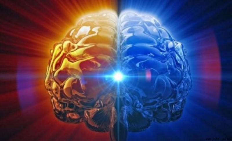 大腦是如何記憶的:科學揭秘記憶形成與保存機制