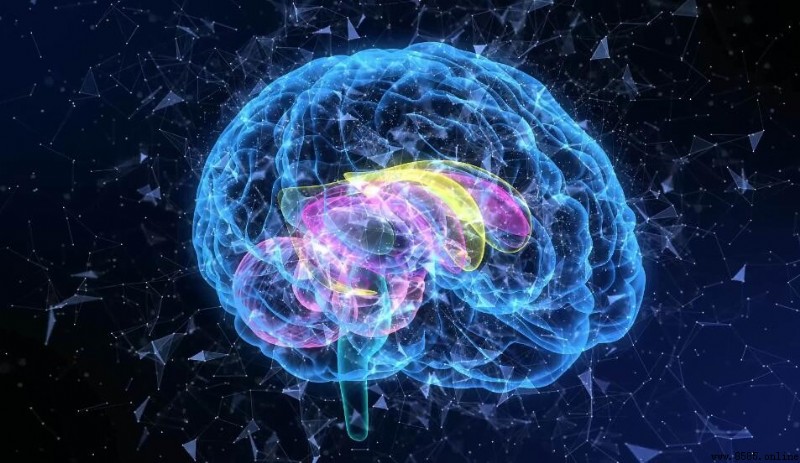 大腦是如何產生思維的:探索思維的生成機制