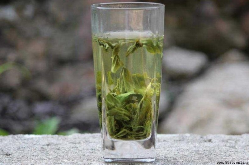 南山壽眉茶特點解析