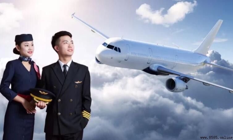 空中乘務員的入職標準與條件