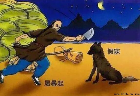 投以骨的意思