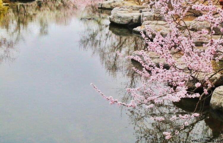 《桃花溪》原文與意境解析