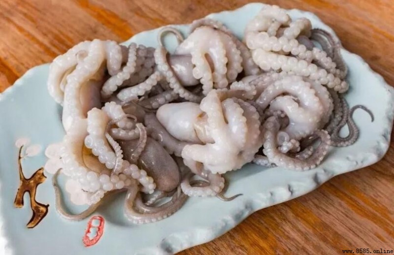 八爪魚怎麼處理乾淨:從挑選到清洗的完整步驟