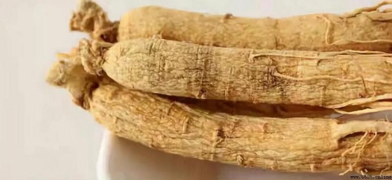 黨參是人參嗎?解析兩者差異