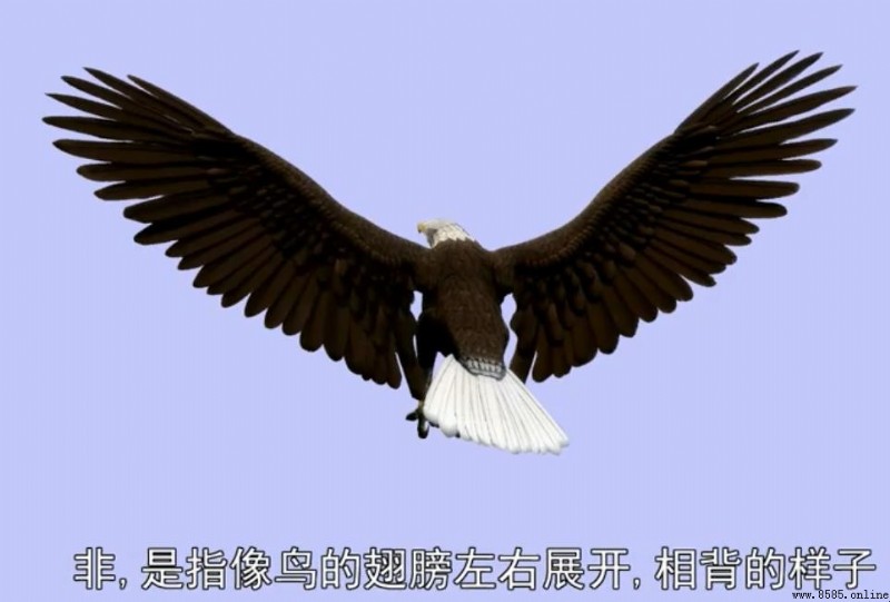 「非」字的含義與用法
