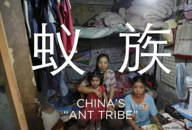 「蟻族」現象背後的成因解析