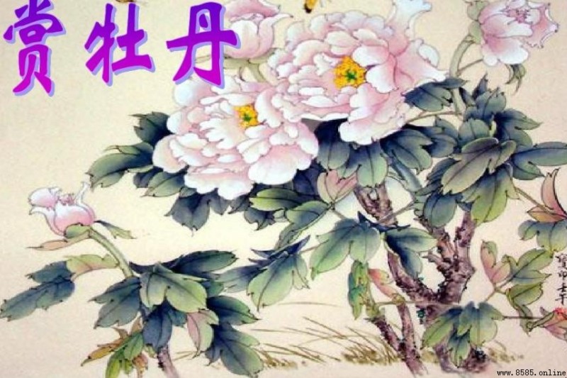 《牡丹》詩句原文完整呈現:李商隱筆下的愛慕與相思