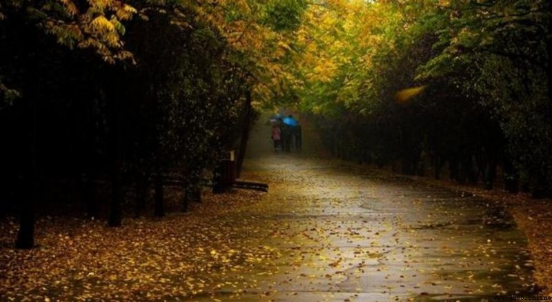 蕭蕭山路窮秋雨下一句是什麼