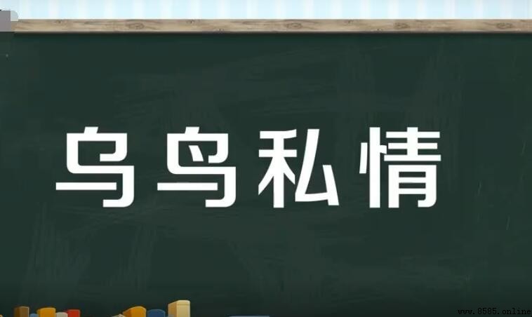烏鳥私情造句指南與範例