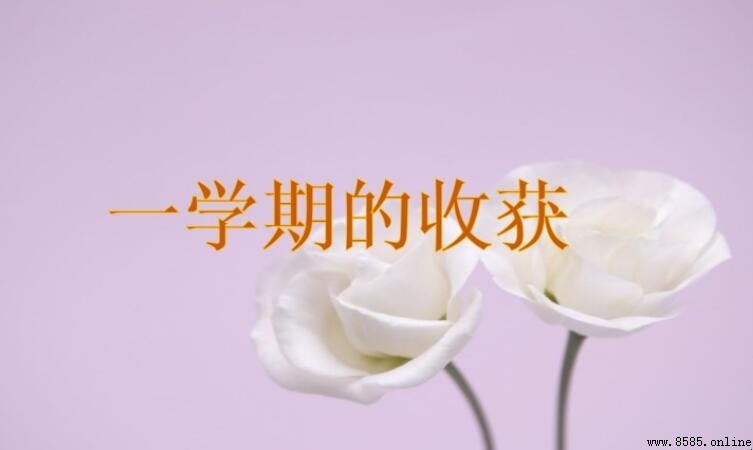 一學期是一年還是半年?學期與學年的區別解析