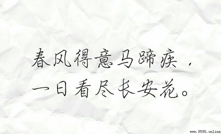 一日看盡長安花全詩是什麼
