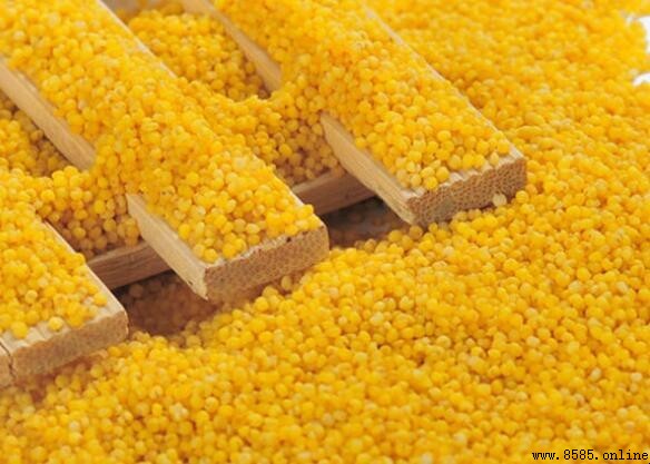 黃米是什麼米？全面解析北方傳統糧食